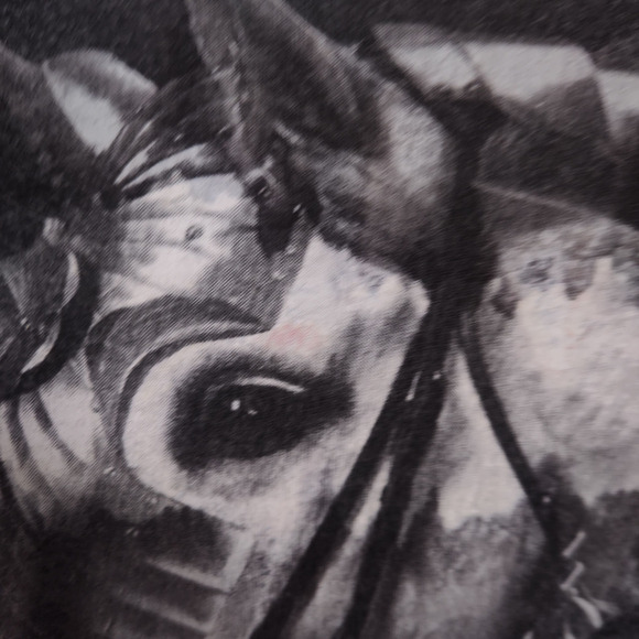 AllSaints Spitalfields Oversized Horse Graphic Tee M Cotton Modal Tie Dye Top - Picture 7 of 15